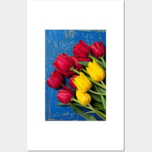 Red and Yellow Tulips Posters and Art